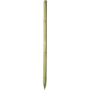 product/a/k/ako_441820_beige-vert_1.jpg