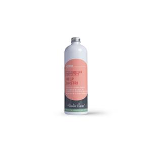 723022050-complement-alimentaire-digestion-pour-cheval-alodis-care-help-gastri-blanc-500-ml