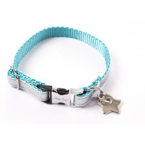 3008313-collier-pour-chien-alter-ego-new-disco-turquoise