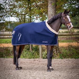 product/a/n/antares_at_wool_navy_1.jpg
