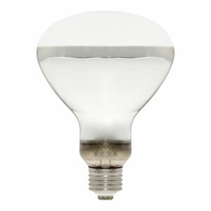 217014-lampe-pour-terrarium-aquarium-systems-mercury-vapor-lamp-e27-blanc-100-w