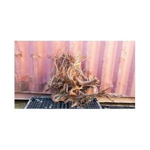 ant111525v2-decoration-pour-aquarium-racine-aquavie-curlivigne-extra-v2-marron-tu