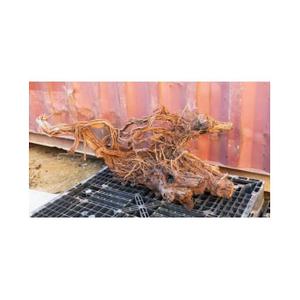 product/a/q/aquavie_ant111525v2_marron_2.jpg