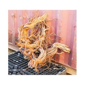 product/a/q/aquavie_ant111525v2_marron_3.jpg