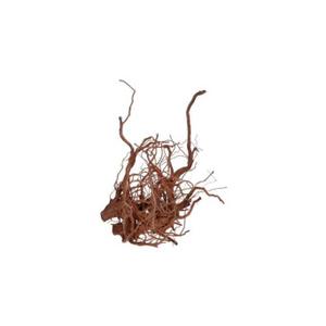 product/a/q/aquavie_av111518_marron_1.jpg