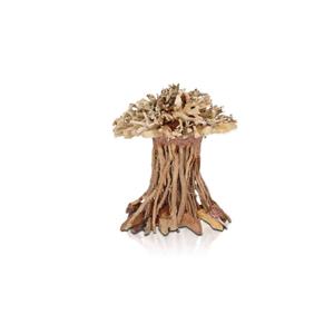 product/a/q/aquavie_av111532_marron-brown_1.jpg
