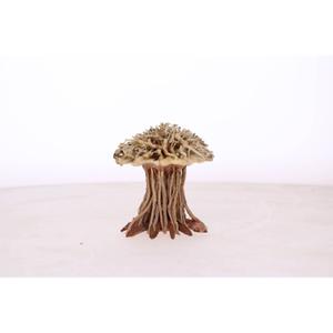 product/a/q/aquavie_av111532_marron-brown_2.jpg