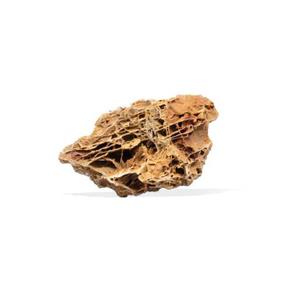product/a/q/aquavie_av4040_orange_1.jpg