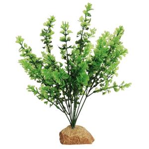 product/a/q/aquavie_av4771_vert_1.jpg