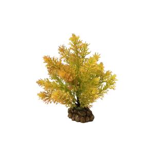 product/a/q/aquavie_av4773_jaune_1.jpg