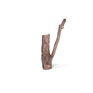 product/a/q/aquavie_avde046_marron_1.jpg