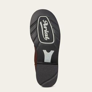 product/a/r/ariat_10001132_4.jpg