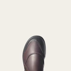 product/a/r/ariat_10003562_2.jpg