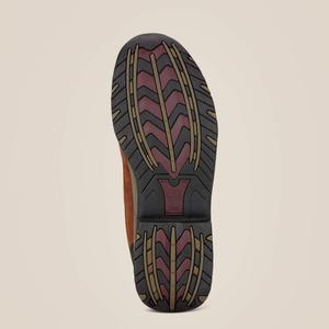 product/a/r/ariat_10017308_4.jpg
