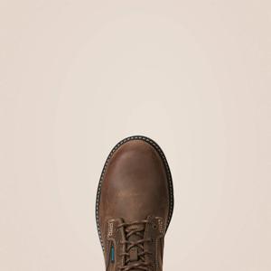 product/a/r/ariat_10020109_2.jpg