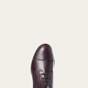 product/a/r/ariat_10020115_2.jpg