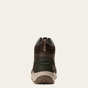 product/a/r/ariat_10027336_3.jpg