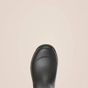 product/a/r/ariat_10027339_2.jpg