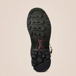 product/a/r/ariat_10027339_4.jpg