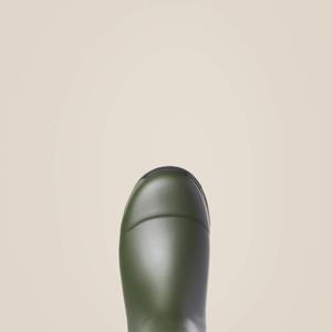 product/a/r/ariat_10035810_2.jpg
