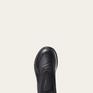 product/a/r/ariat_10036043_2.jpg
