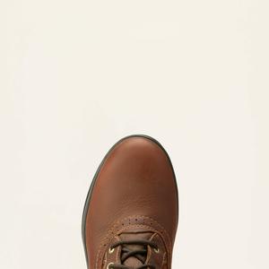 product/a/r/ariat_10038286_2.jpg