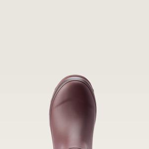 product/a/r/ariat_10044595_2.jpg