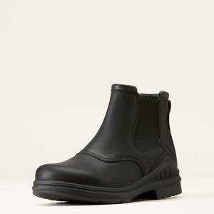 product/a/r/ariat_10046856_1.jpg