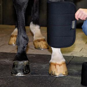 product/b/a/back-on-track_20500000_black_3.jpg