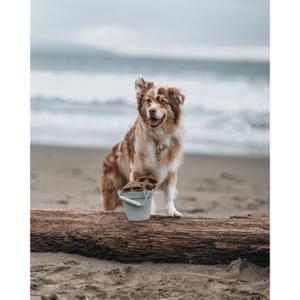 product/b/e/benebone_cy0380_2.jpg