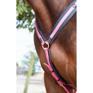 product/b/i/biochas-fuchsia_1.jpg