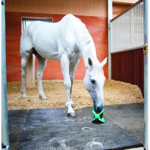 product/b/i/bizzy-horse_380080013_4_1.jpg