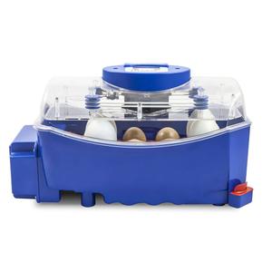 product/b/o/borotto_530300008_bleu_2.jpg