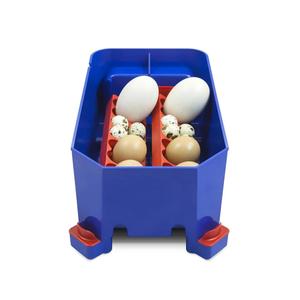 product/b/o/borotto_530300008_bleu_4.jpg