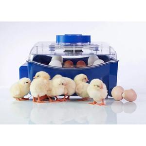 product/b/o/borotto_530300016_bleu_4.jpg
