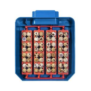 product/b/o/borotto_530300016_bleu_5.jpg