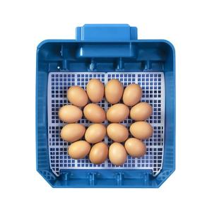 product/b/o/borotto_530300016_bleu_6.jpg