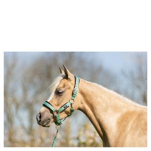 product/b/r/br-equitation_232332-g1128-40_feldspar_2.jpg