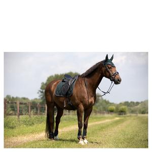 product/b/r/br-equitation_292000-g0558-50_green-gables_2.jpg