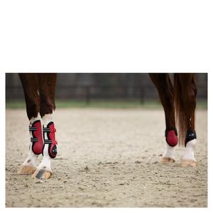 product/b/r/br-equitation_296139-r0038-50_crimson_4.jpg