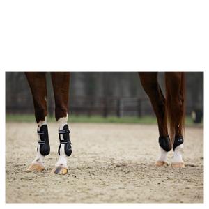 product/b/r/br-equitation_296139-w0018-50_blanc_4.jpg