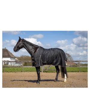 product/b/r/br-equitation_373074b001145_1.jpg