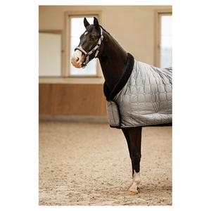 product/b/r/br-equitation_380260-b2471-75_chiseled-stone_4.jpg