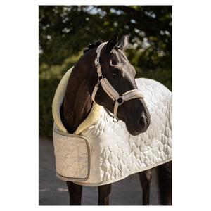 product/b/r/br-equitation_432323-w0548-40_silver-birch_4.jpg