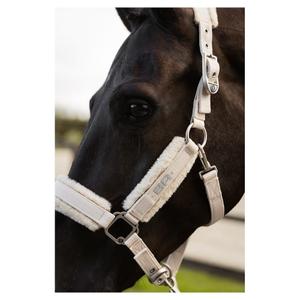product/b/r/br-equitation_432323-w0548-40_silver-birch_5.jpg