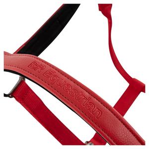 product/b/r/br-equitation_432340-r051-830_tangored_2.jpg