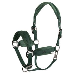 product/b/r/br-equitation_432348-g117-830_jungle-green_1.jpg
