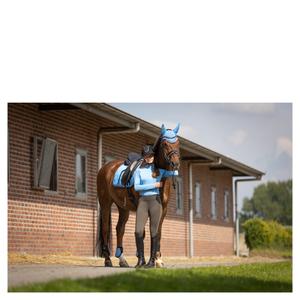product/b/r/br-equitation_672112l228910_3.jpg