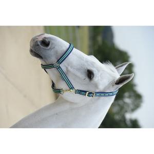 41250-02-licol-pour-cheval-bucas-dublin-striped-navy