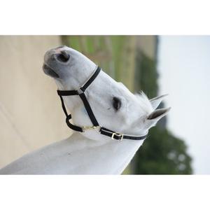 41250-64-licol-pour-cheval-bucas-dublin-black-silver